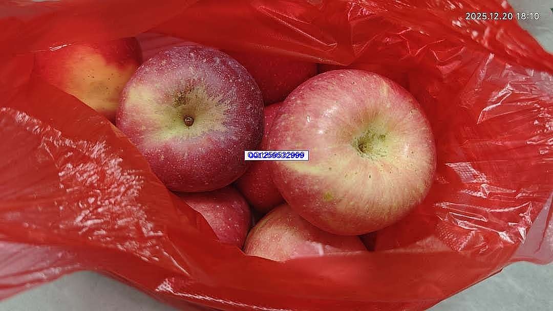 袋中苹果里的烟火与诗意-神人佛8客