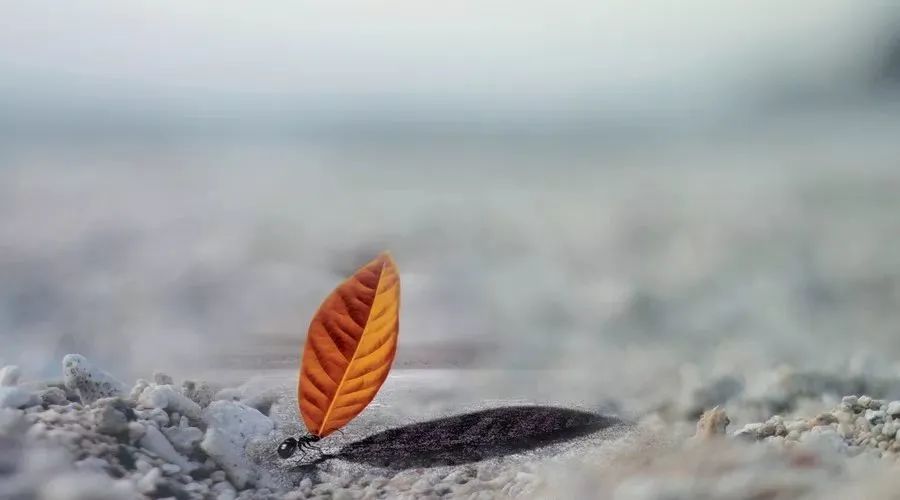 一天，一月，一年，一生（精辟）-神人佛8客