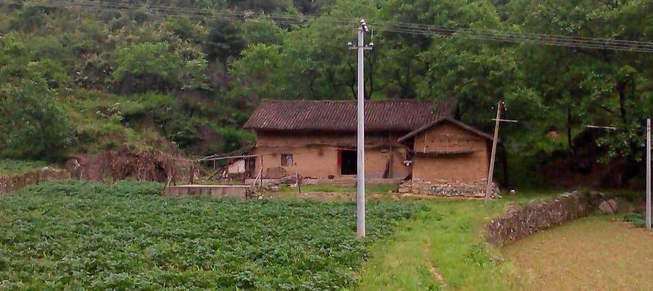 Your Image Description