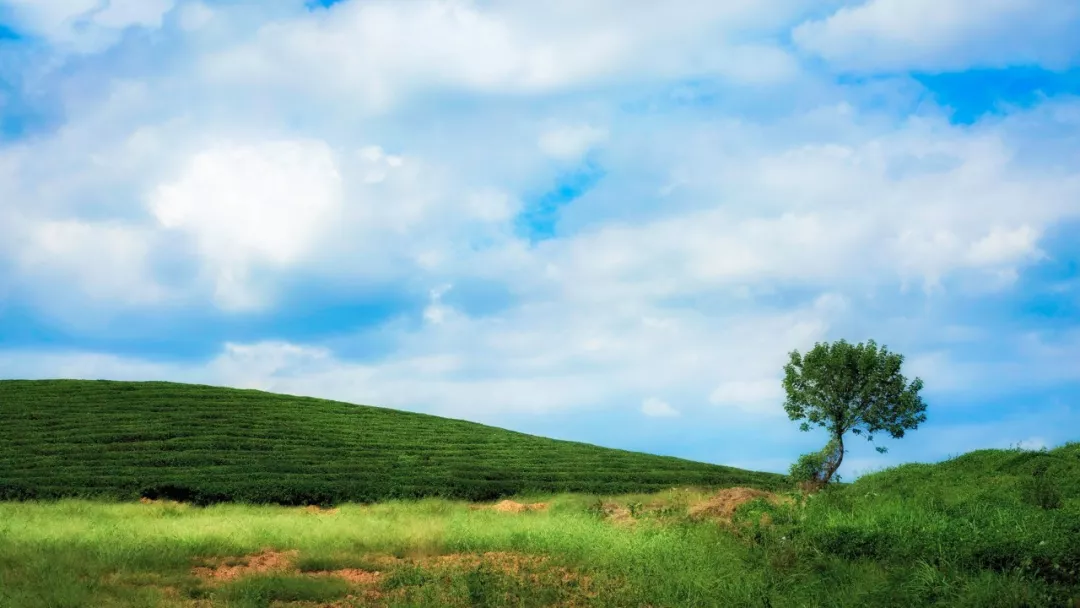 20190531134914-640_wx_fmt=jpeg&tp=webp&wxfrom=5&wx_lazy=1&wx_co=1