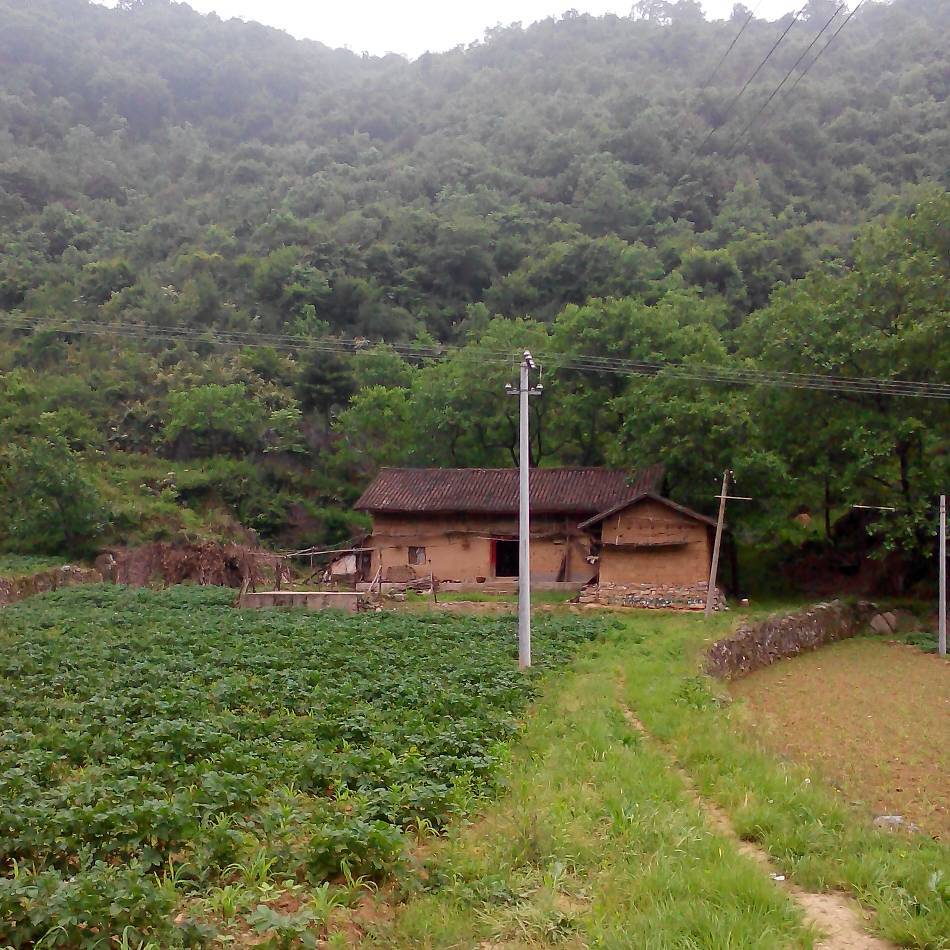 hdImg_84ab9d3582aab067ae0e161486a2f5581558483375928