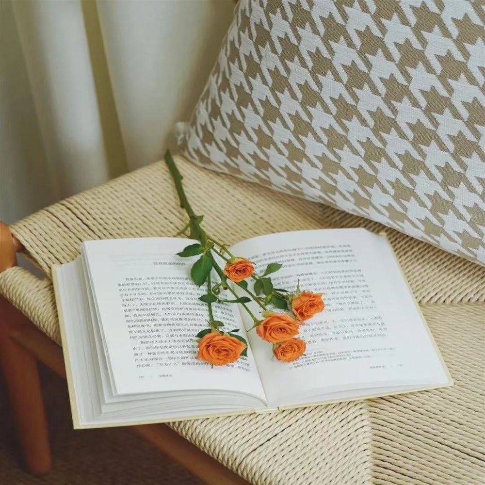 mmexport1729514423271