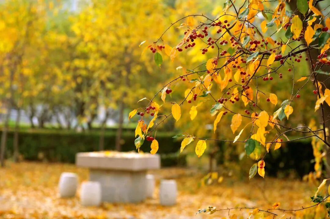 图片[3]-“遇见你，是人间最温柔的意外；想念你，是岁月最绵长的告白”-神人佛8客