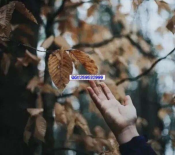 终身受益的五句话！-神人佛8客