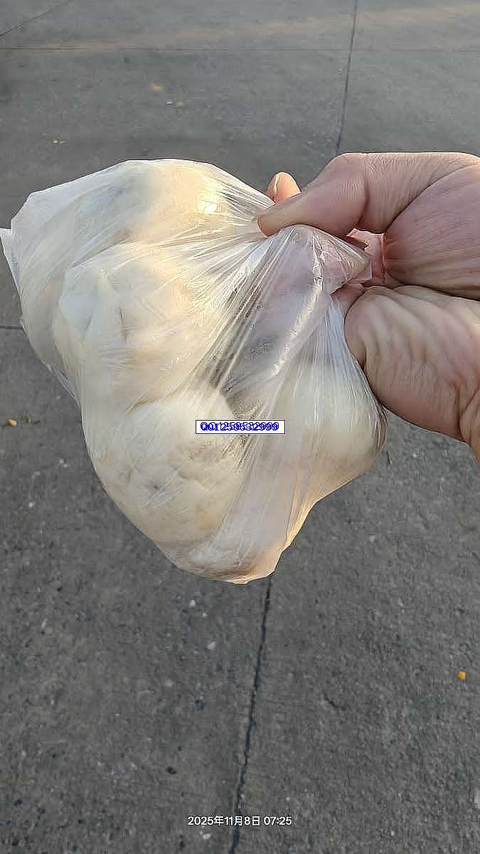 清晨七点二十五分的温度-神人佛-善无痕蛇无泪