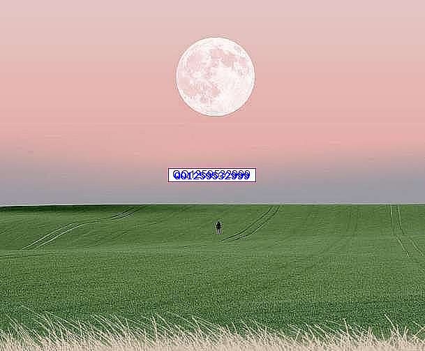 谁最在乎你，微信告诉你！（很准）-神人佛-善无痕蛇无泪