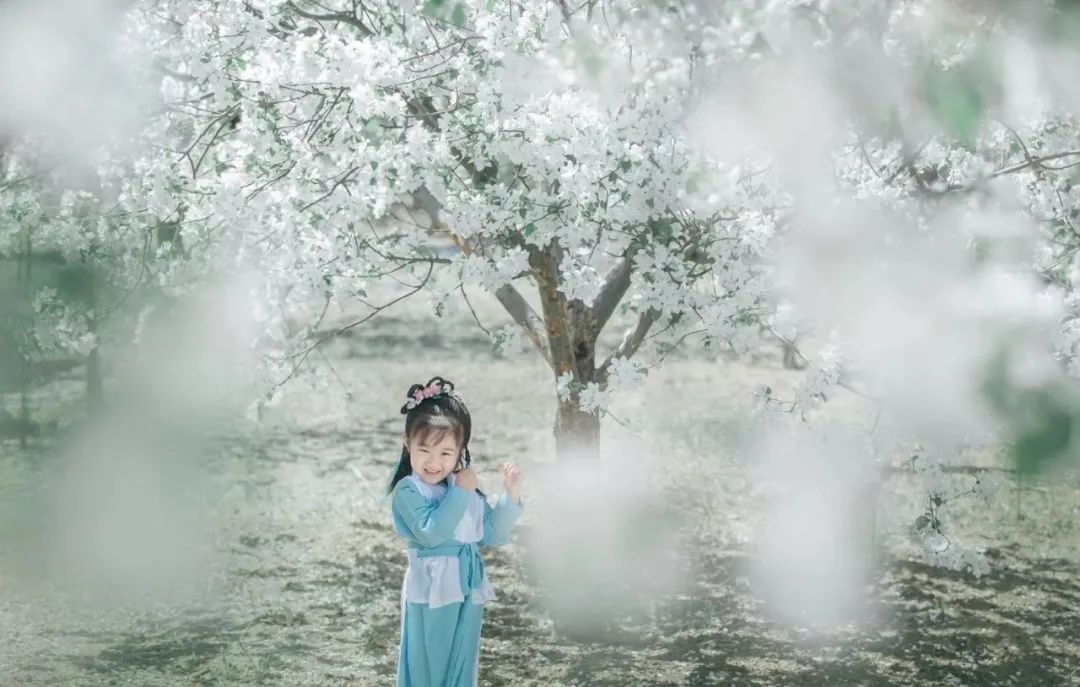 wechat_58a4626e1a126ab68f775539a56acb35