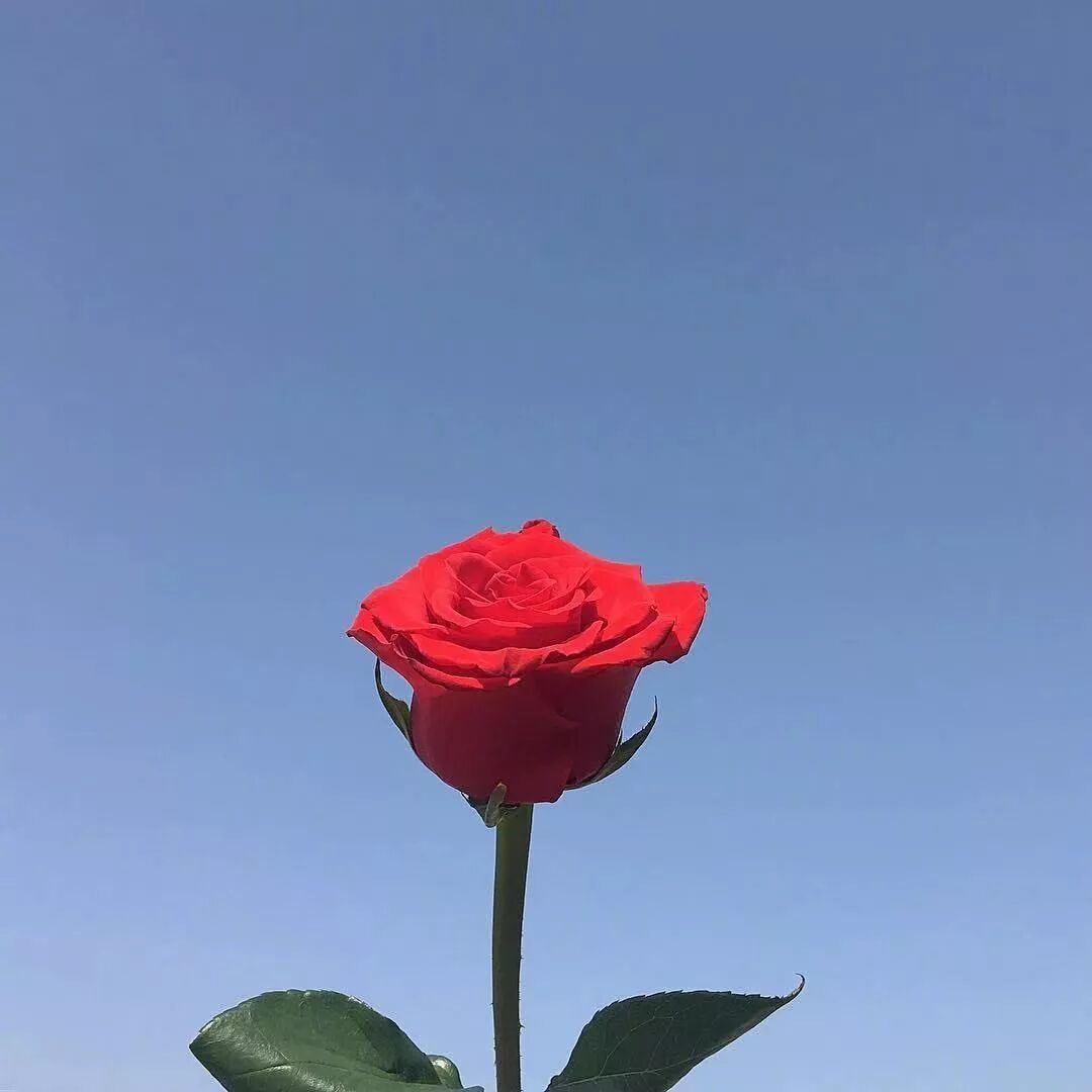 wechat_fd0e4bbebe791c8bec5facfa3f2c3e05