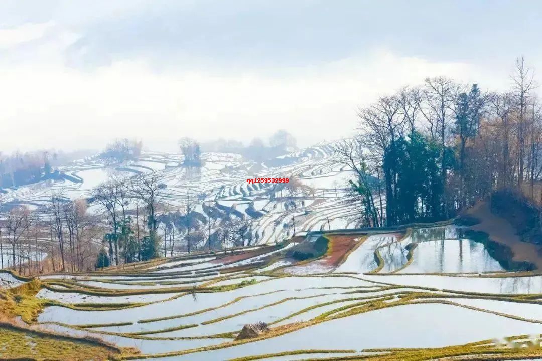 句子很短，道理很深！（精辟）