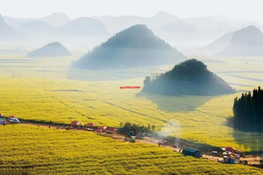 句子很短，道理很深！（精辟）