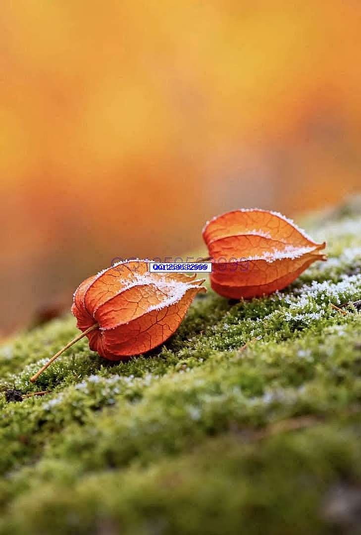 图片[3]-“男人无能，一看便知”：没出息的男人，离不开这三句话-神人佛-善无痕蛇无泪