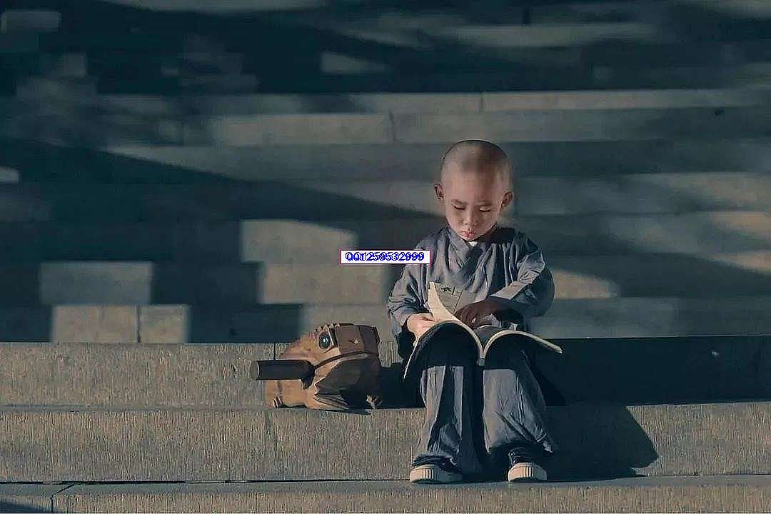 文章图片