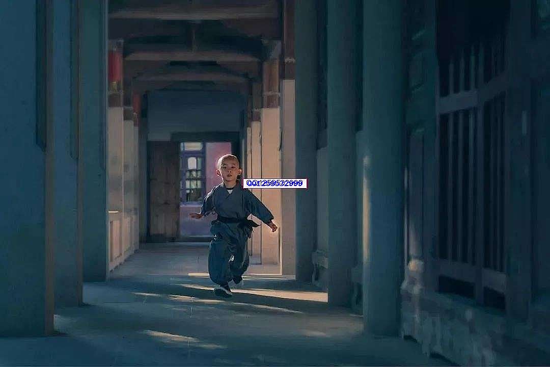 文章图片