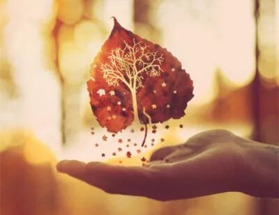 这么近，那么远：最远的你，是我最近的爱